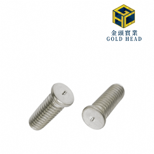 Stainless Steel Weld Stud