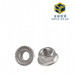 Hex Serrated Flange Nut