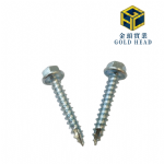 Type 17 Screw